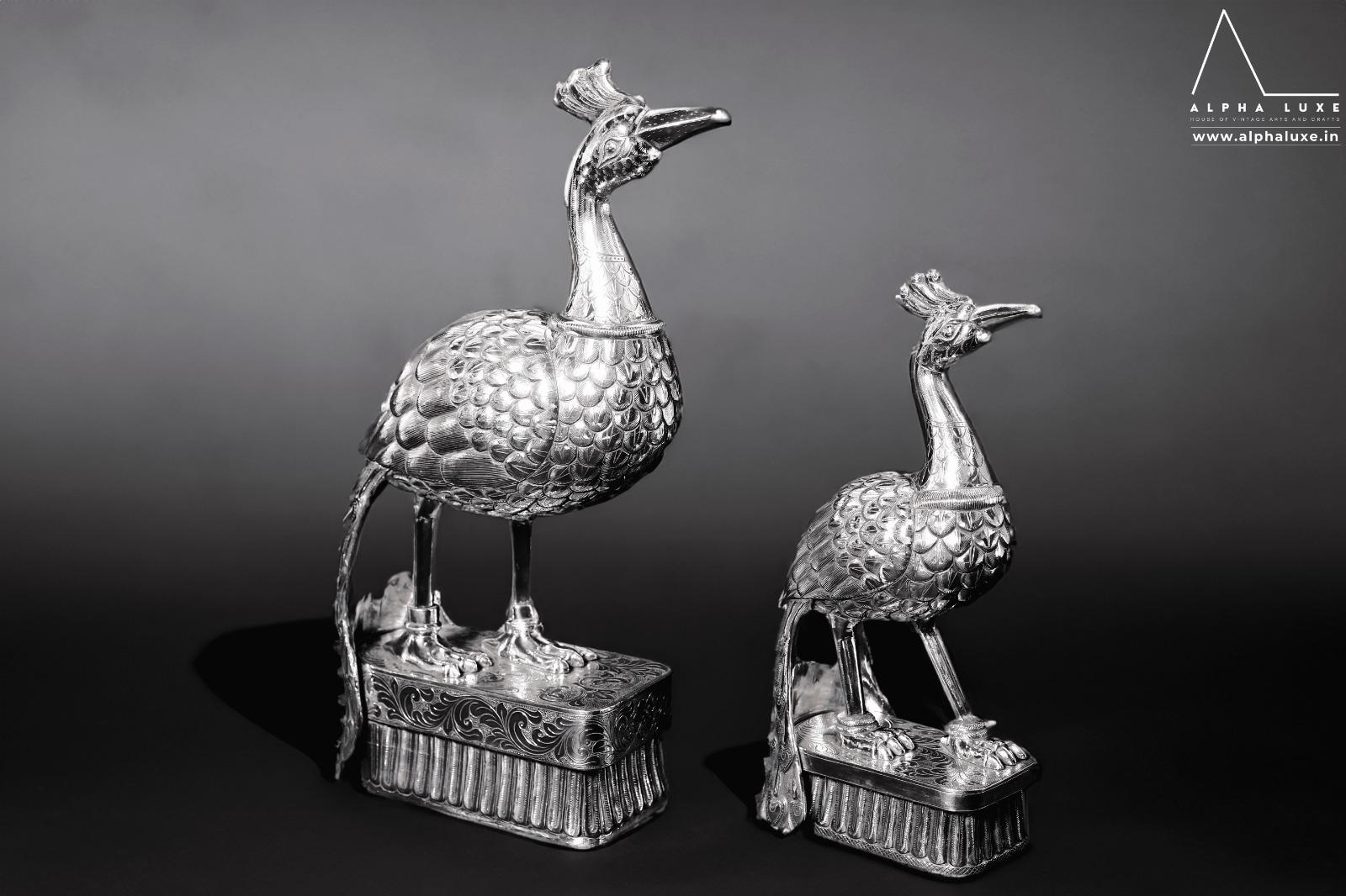 WhatsApp Image 2023-10-21 at 11.50.00 AM (4).jpeg